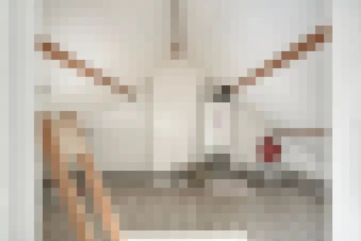 Ekelstraat 10 Heerle thumbnail 31
