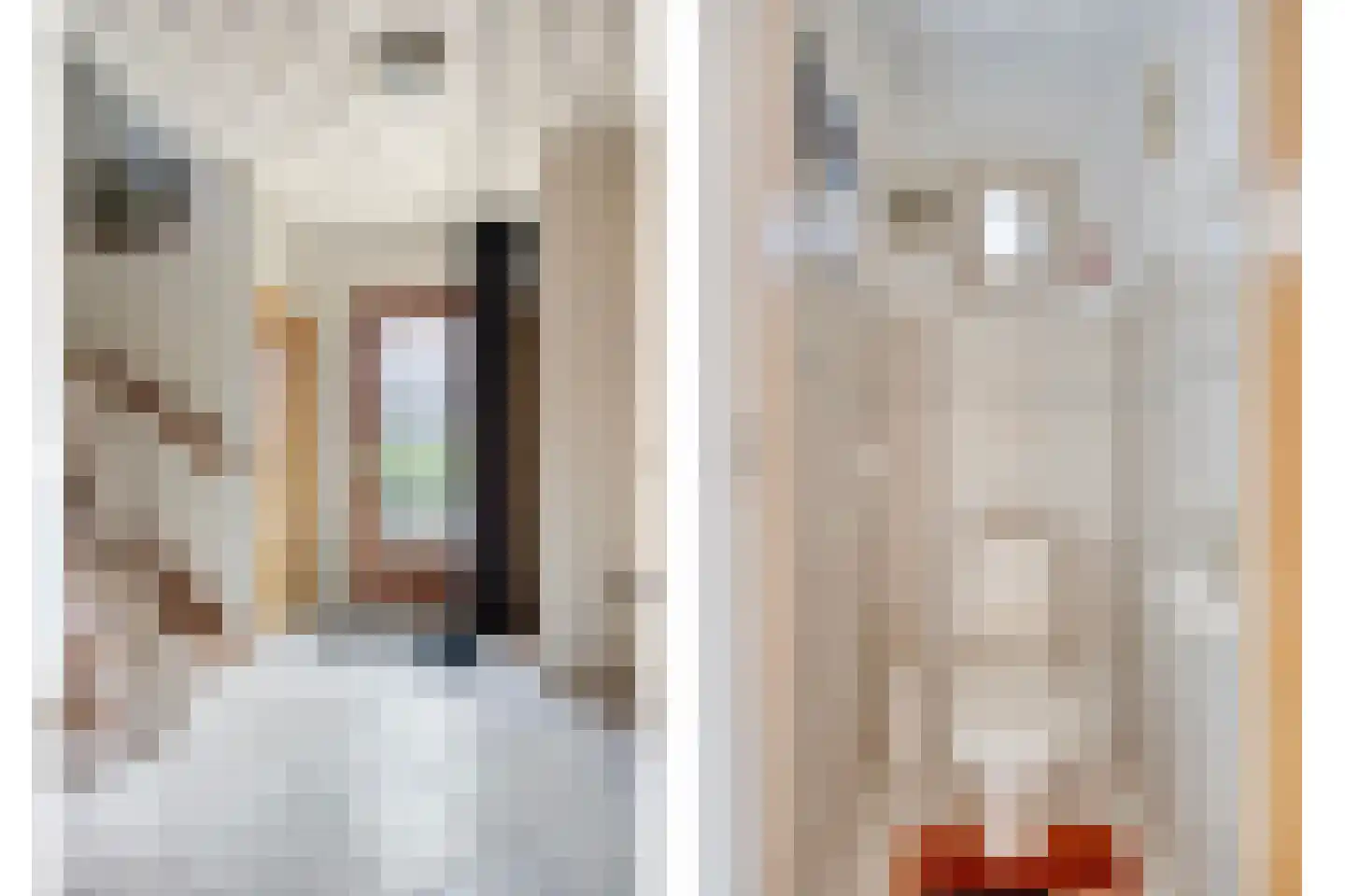 Ekelstraat 10 Heerle thumbnail 5