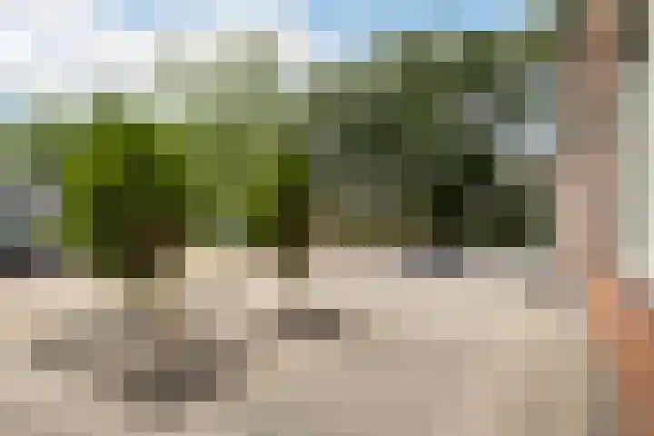 Ekemahôf 3 Grou thumbnail 12