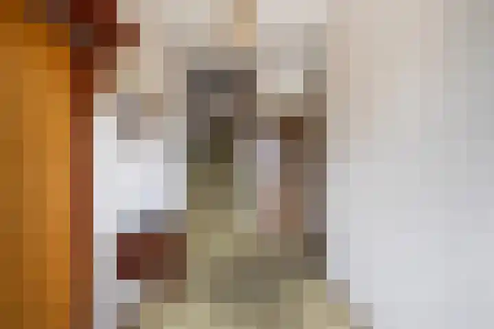 Ekemahôf 3 Grou thumbnail 15