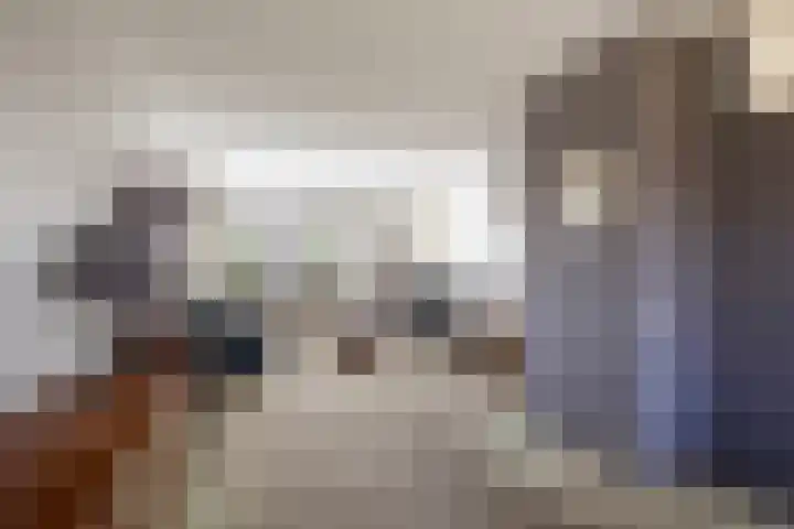 Ekemahôf 3 Grou thumbnail 19