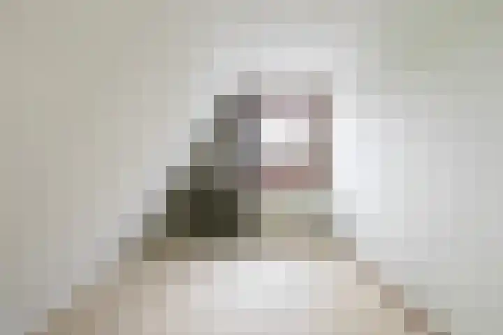 Ekemahôf 3 Grou thumbnail 31