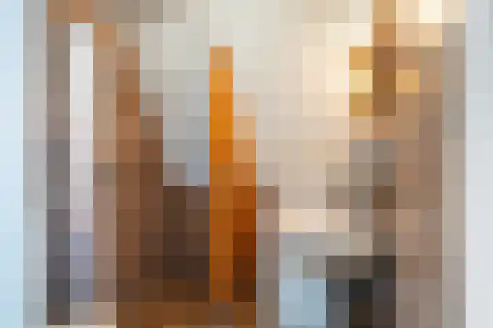 Ekemahôf 3 Grou thumbnail 33