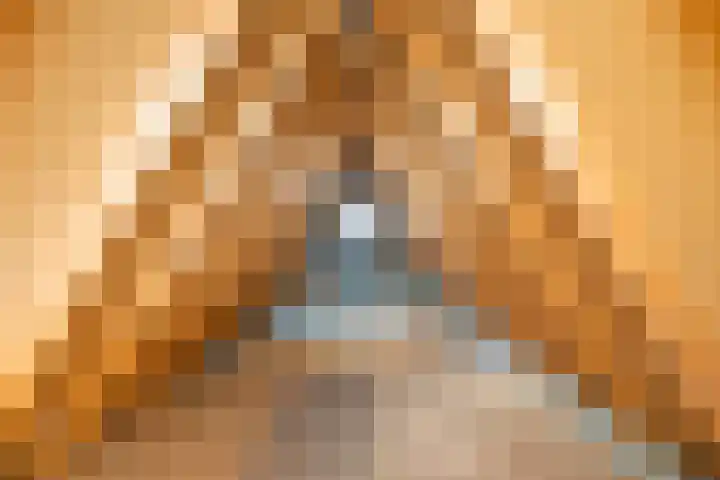 Ekemahôf 3 Grou thumbnail 35