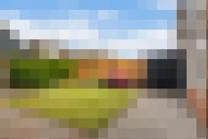 Ekemahôf 3 Grou thumbnail 37