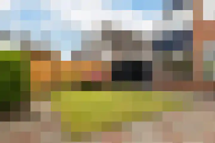 Ekemahôf 3 Grou thumbnail 38