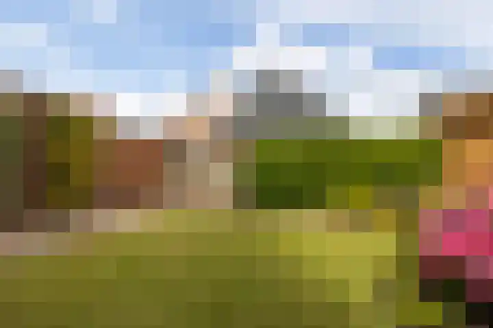Ekemahôf 3 Grou thumbnail 5