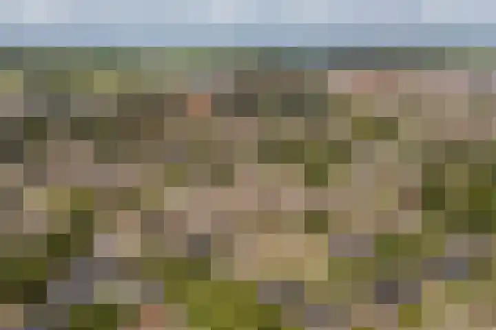 Ekemahôf 3 Grou thumbnail 7