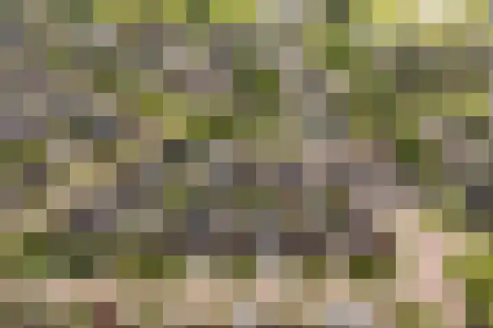 Ekemahôf 3 Grou thumbnail 8