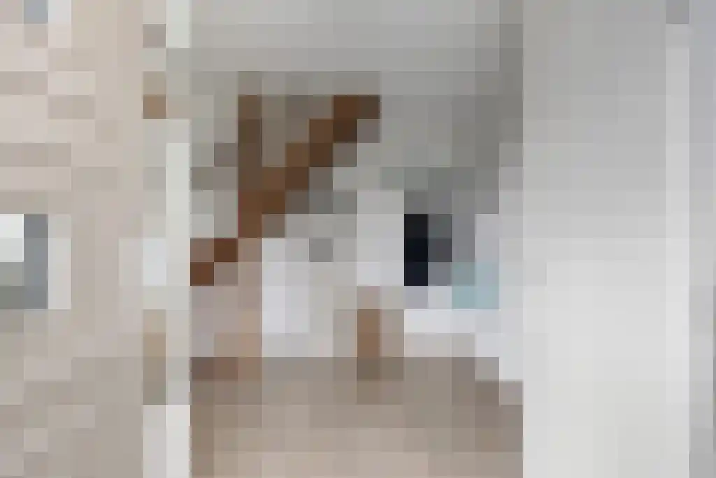 Ekemawal 9 IJlst thumbnail 19