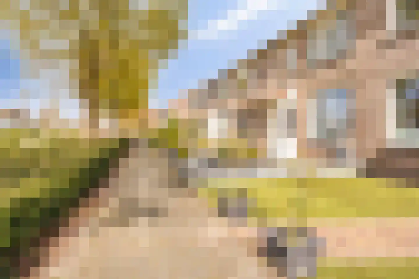 Ekenberg 19 Roosendaal thumbnail 30