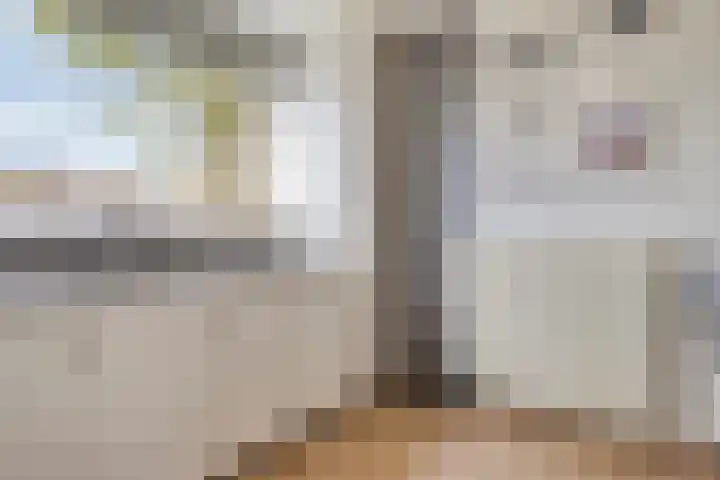Ekenberg 19 Roosendaal thumbnail 8