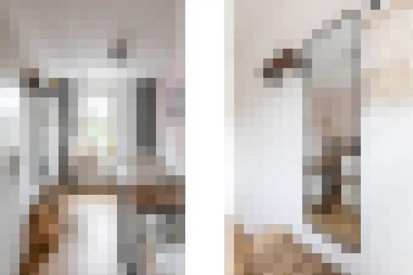 Ekenrooisestraat 17 Waalre thumbnail 22