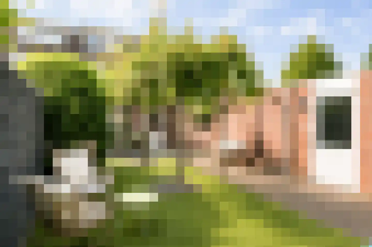 Ekenrooisestraat 17 Waalre thumbnail 33