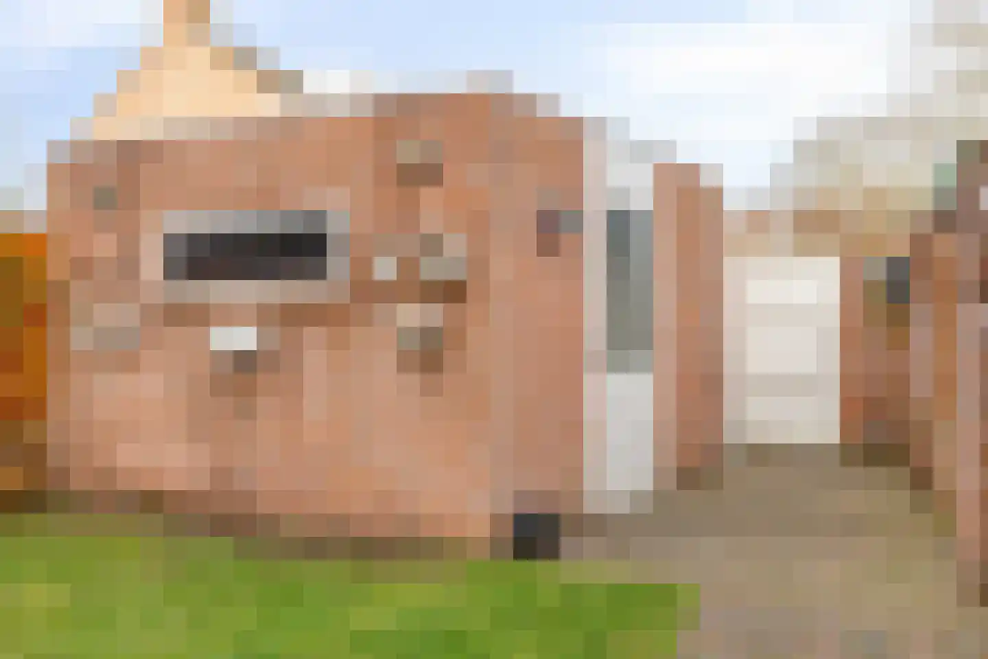 Ekenrooisestraat 27 Waalre thumbnail 27