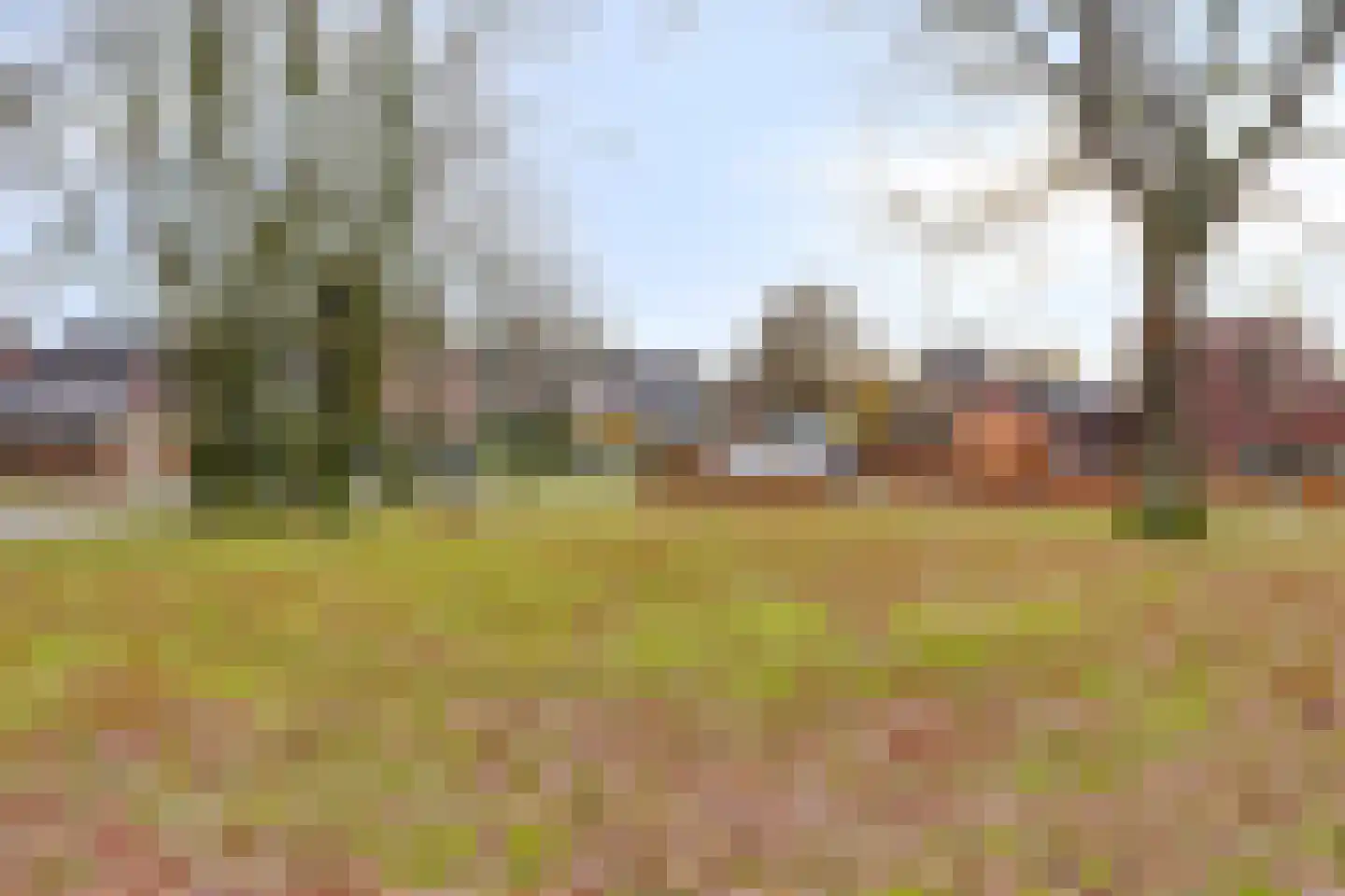 Ekenrooisestraat 27 Waalre thumbnail 29