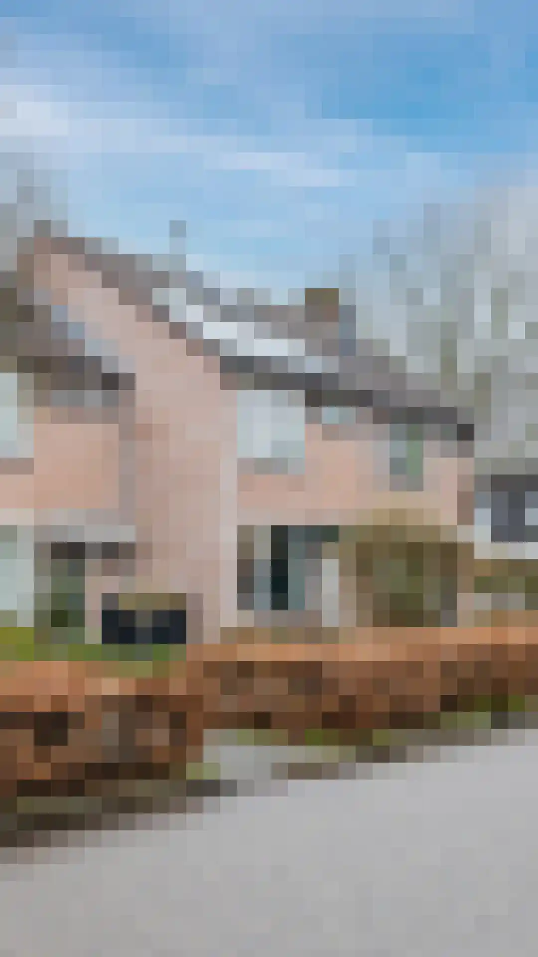 Ekenrooisestraat 31 Waalre thumbnail 4
