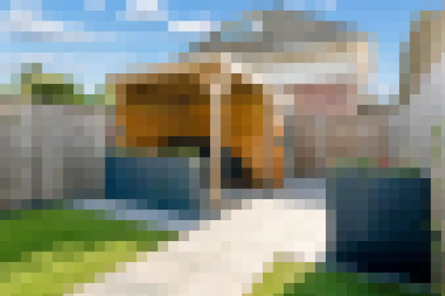 Ekenstein 47 Lelystad thumbnail 28