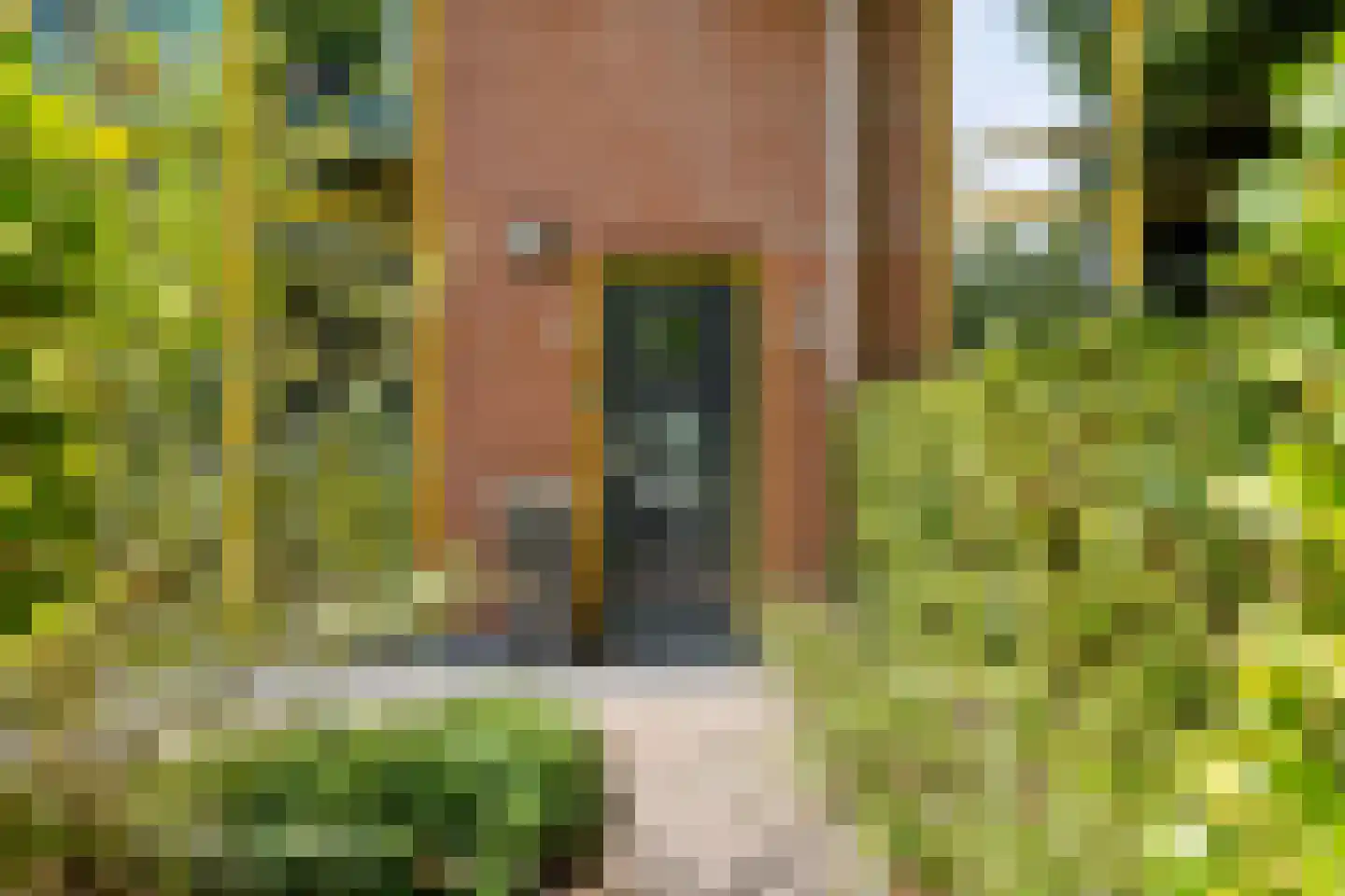 Ekenstein 56 Lelystad thumbnail 6