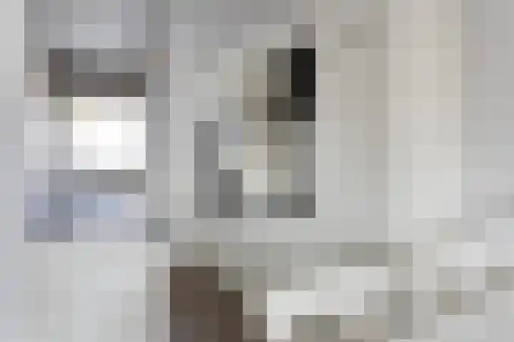 Ekenstein 75 Lelystad thumbnail 10