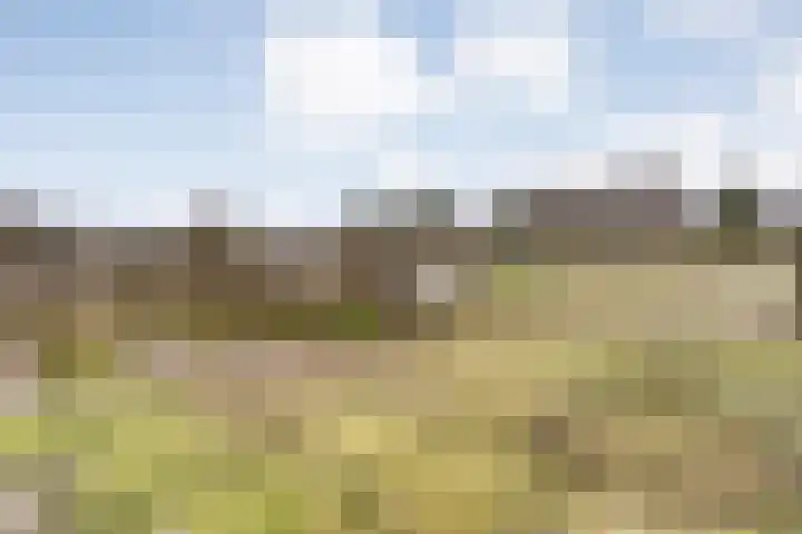 Ekenstein 75 Lelystad thumbnail 11
