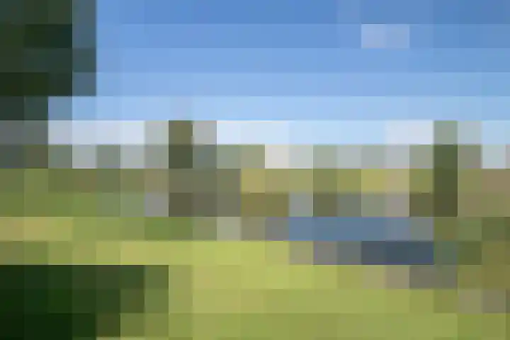 Ekenstein 75 Lelystad thumbnail 22