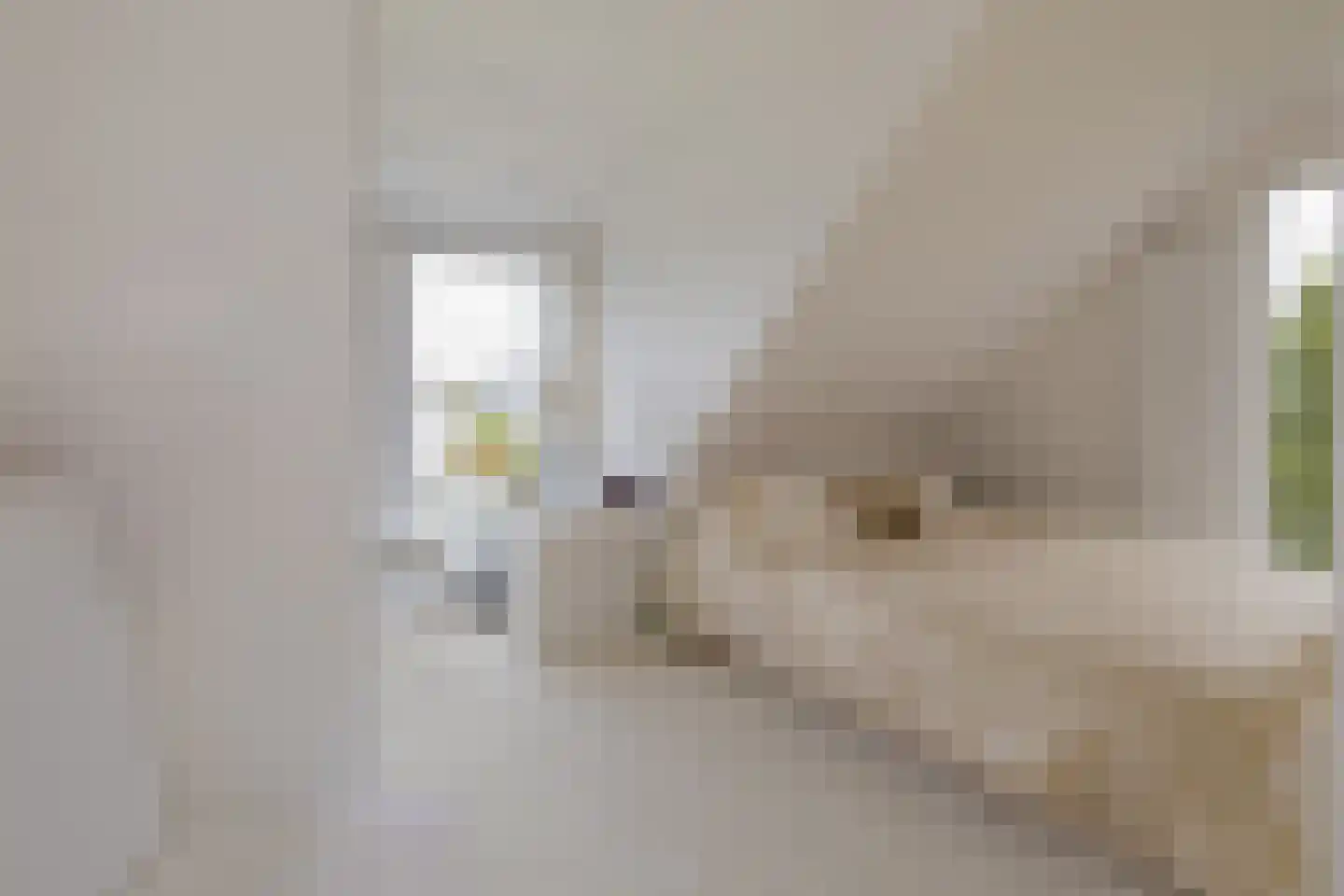 Ekenstein 75 Lelystad thumbnail 26