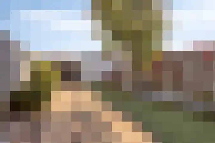 Ekenstein 75 Lelystad foto 3