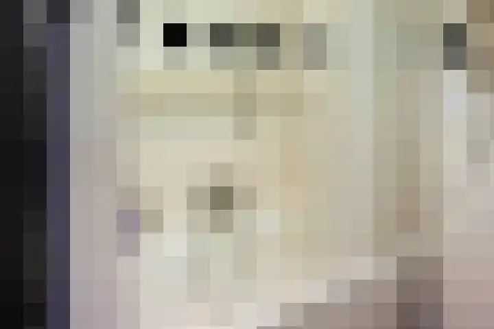 Ekensteinlaan 2 Spijkenisse thumbnail 24