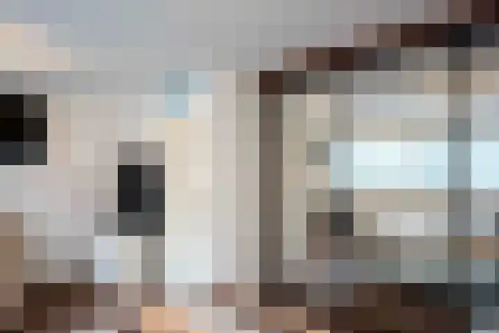 Ekensteinlaan 2 Spijkenisse thumbnail 26