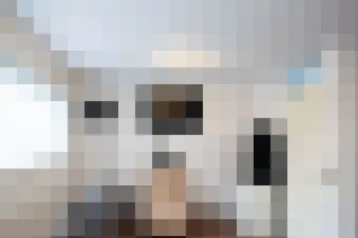 Ekensteinlaan 2 Spijkenisse thumbnail 27