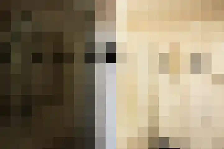 Ekensteinlaan 2 Spijkenisse thumbnail 30