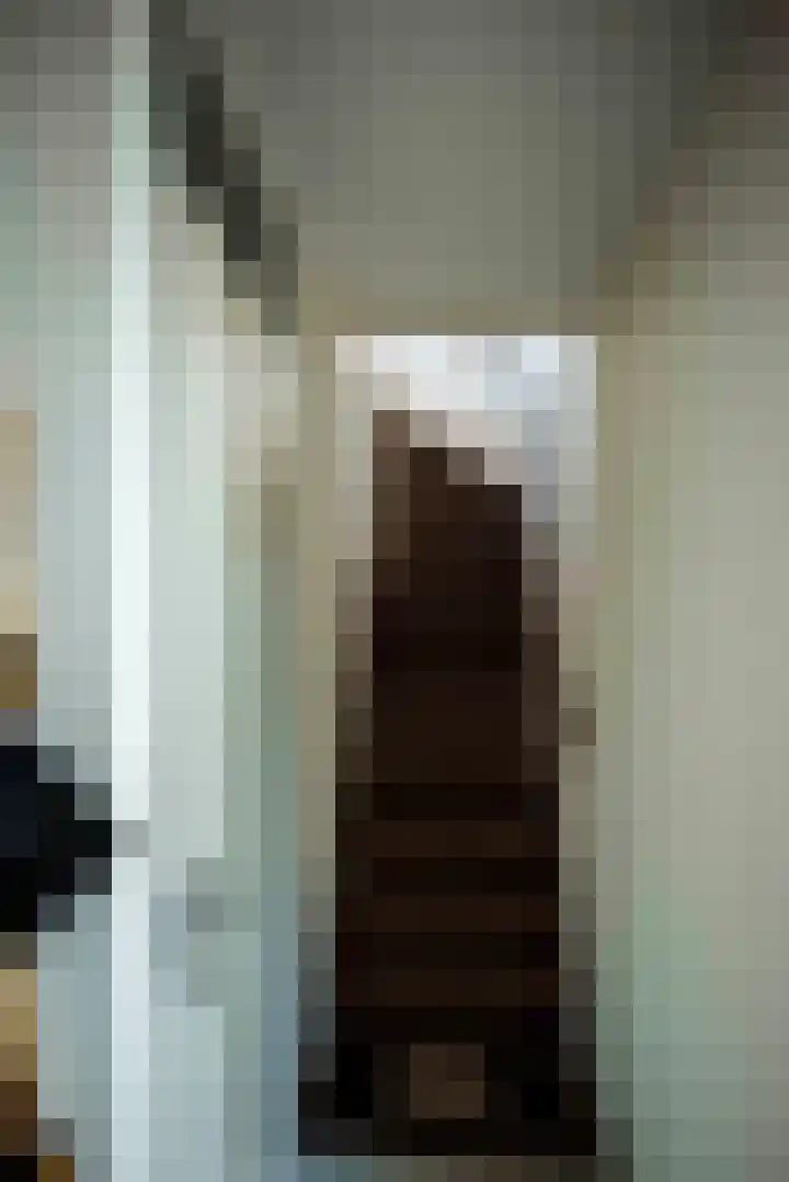 Ekensteinlaan 2 Spijkenisse thumbnail 32