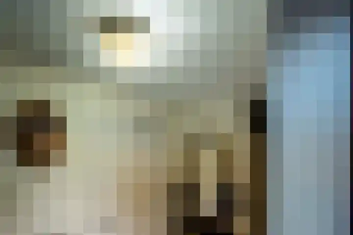 Ekensteinlaan 2 Spijkenisse thumbnail 41