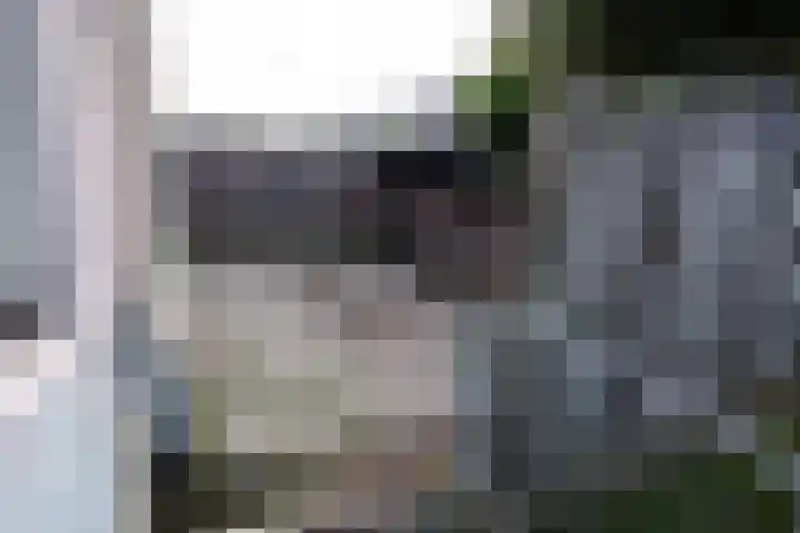 Ekensteinlaan 2 Spijkenisse thumbnail 46
