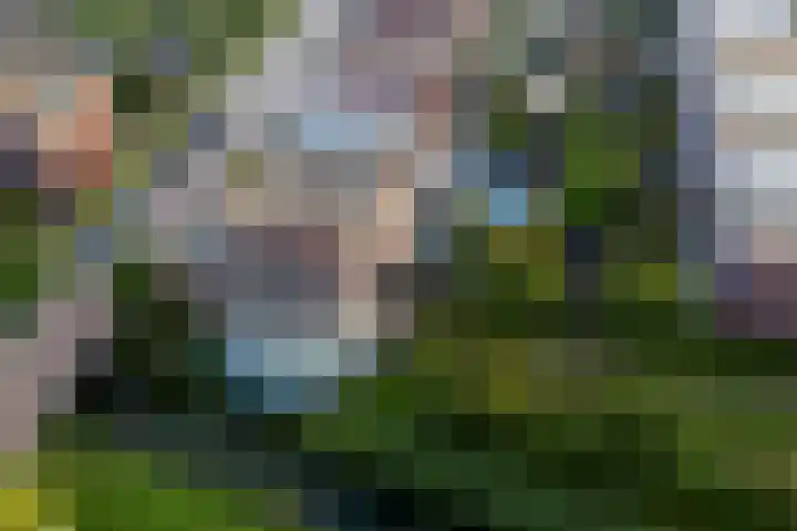Ekensteinlaan 2 Spijkenisse thumbnail 52