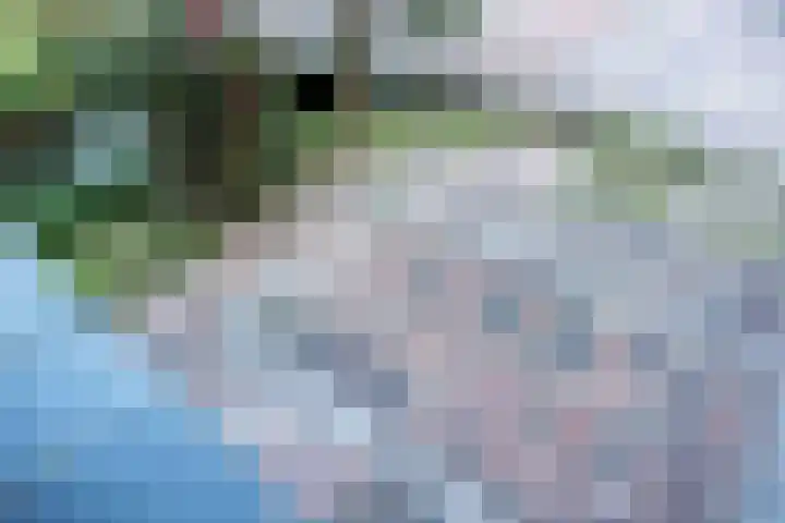 Ekensteinlaan 2 Spijkenisse thumbnail 8