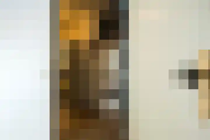 Ekensteinlaan 2 Spijkenisse thumbnail 9