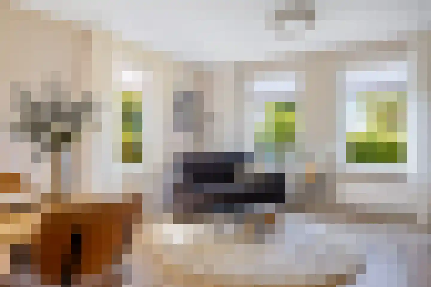 Ekersein 1 Hijum thumbnail 22