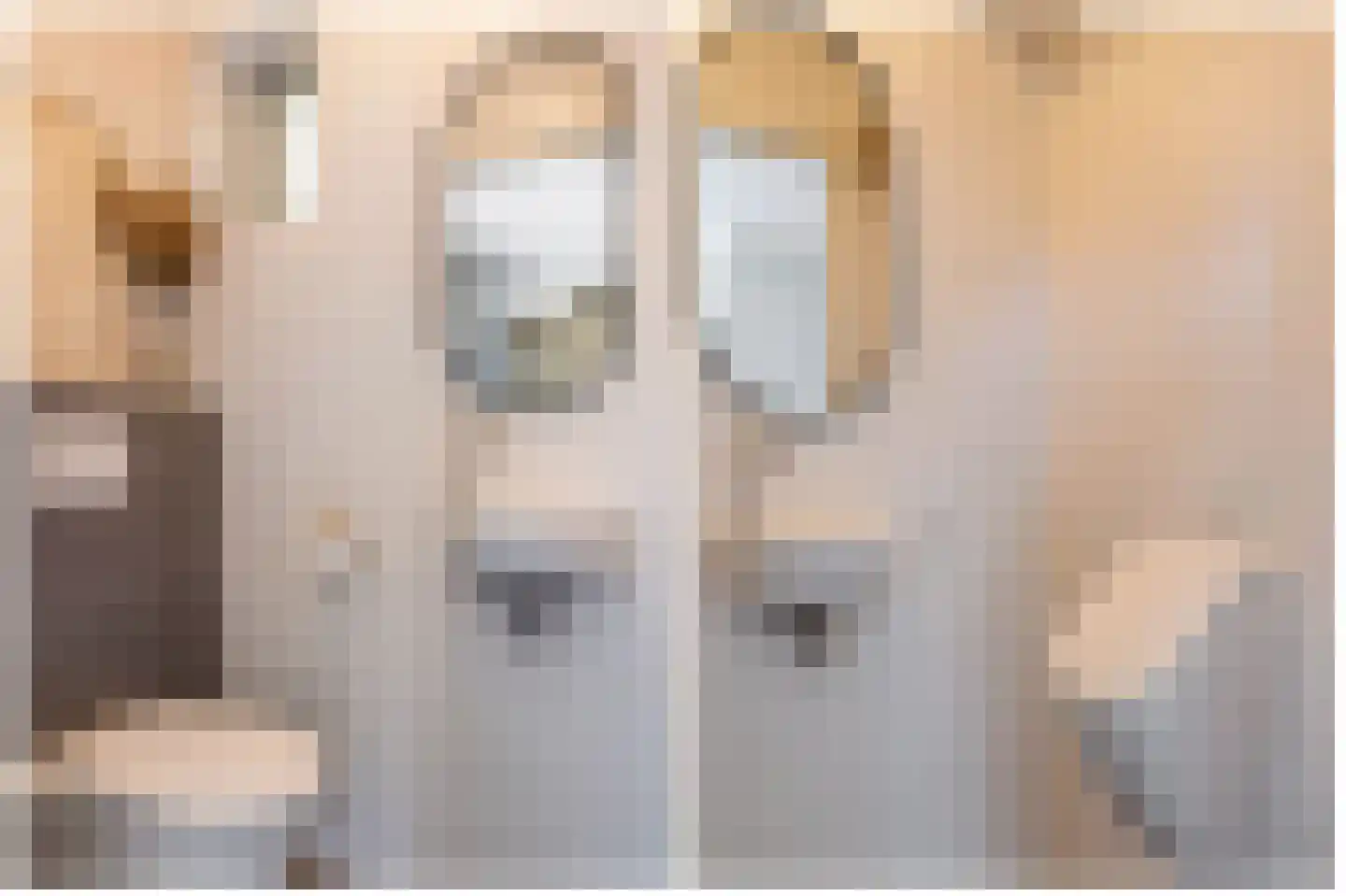 Ekersein 1 Hijum thumbnail 35
