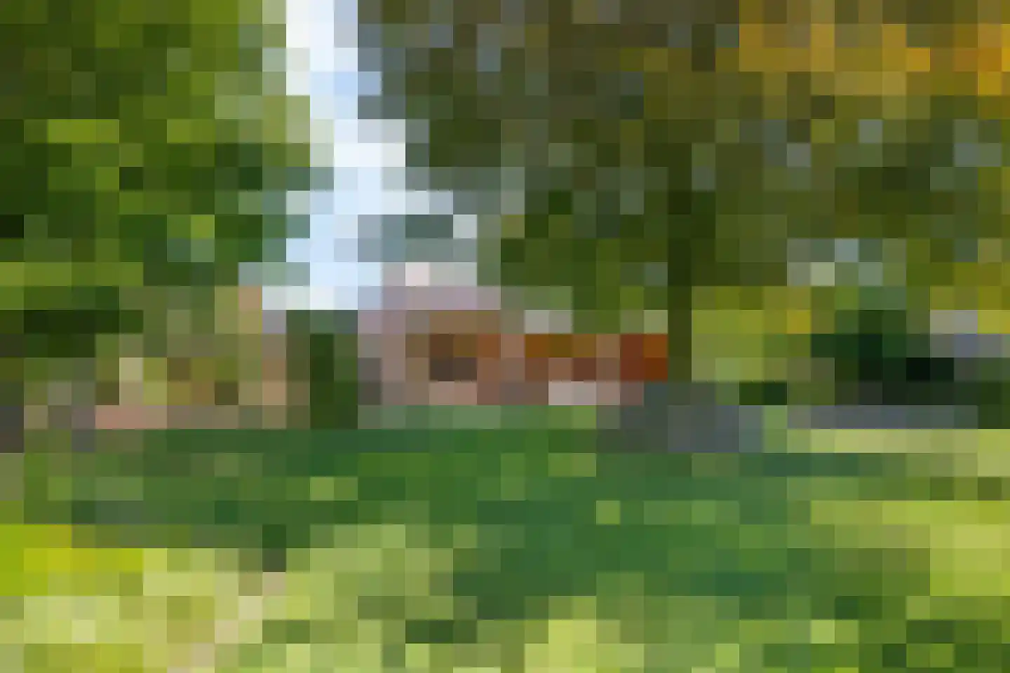 Ekersein 1 Hijum thumbnail 4