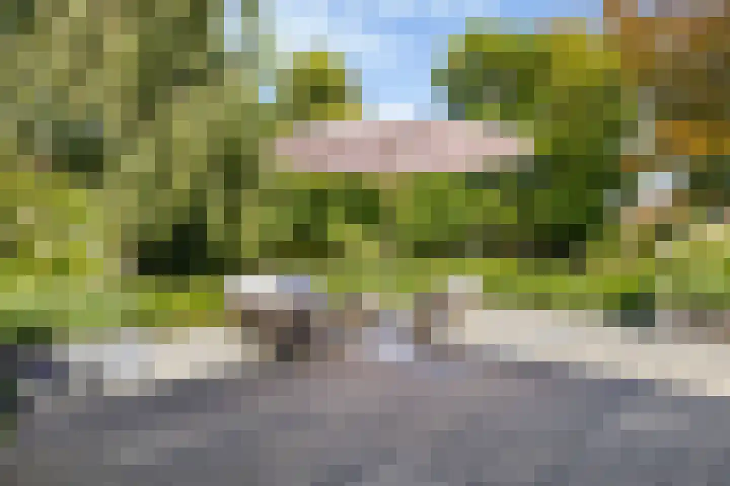 Ekersein 1 Hijum thumbnail 41