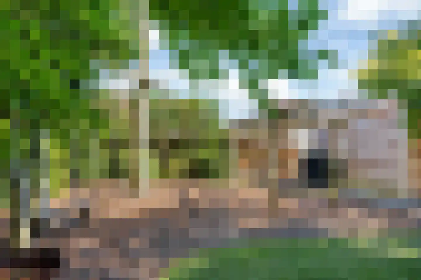 Ekersein 1 Hijum thumbnail 43