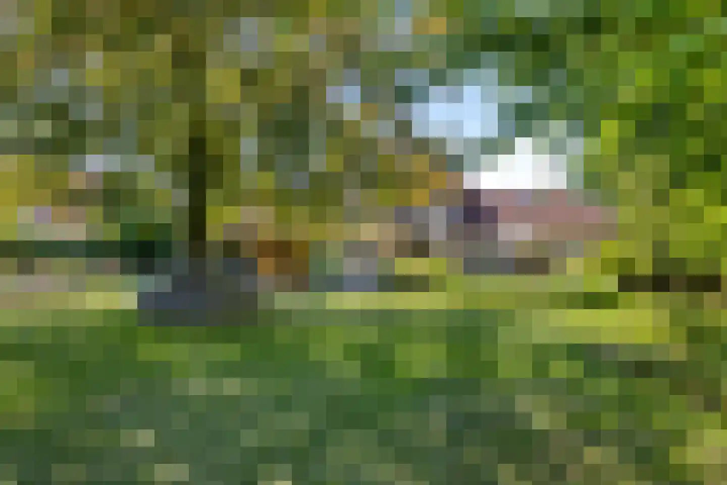 Ekersein 1 Hijum thumbnail 49