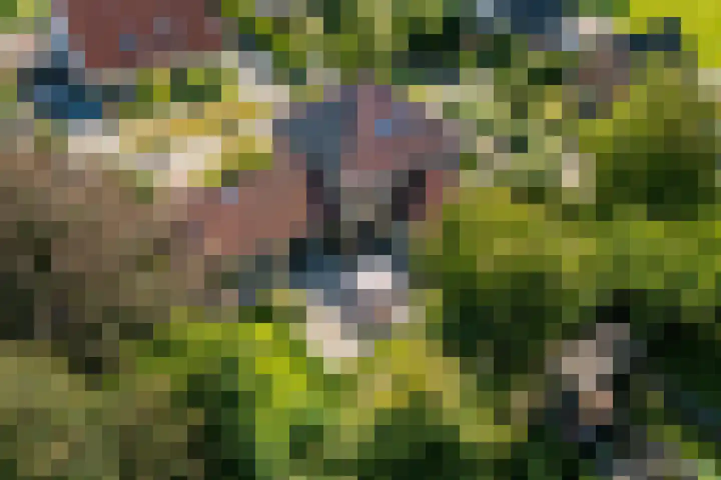 Ekersein 1 Hijum thumbnail 6