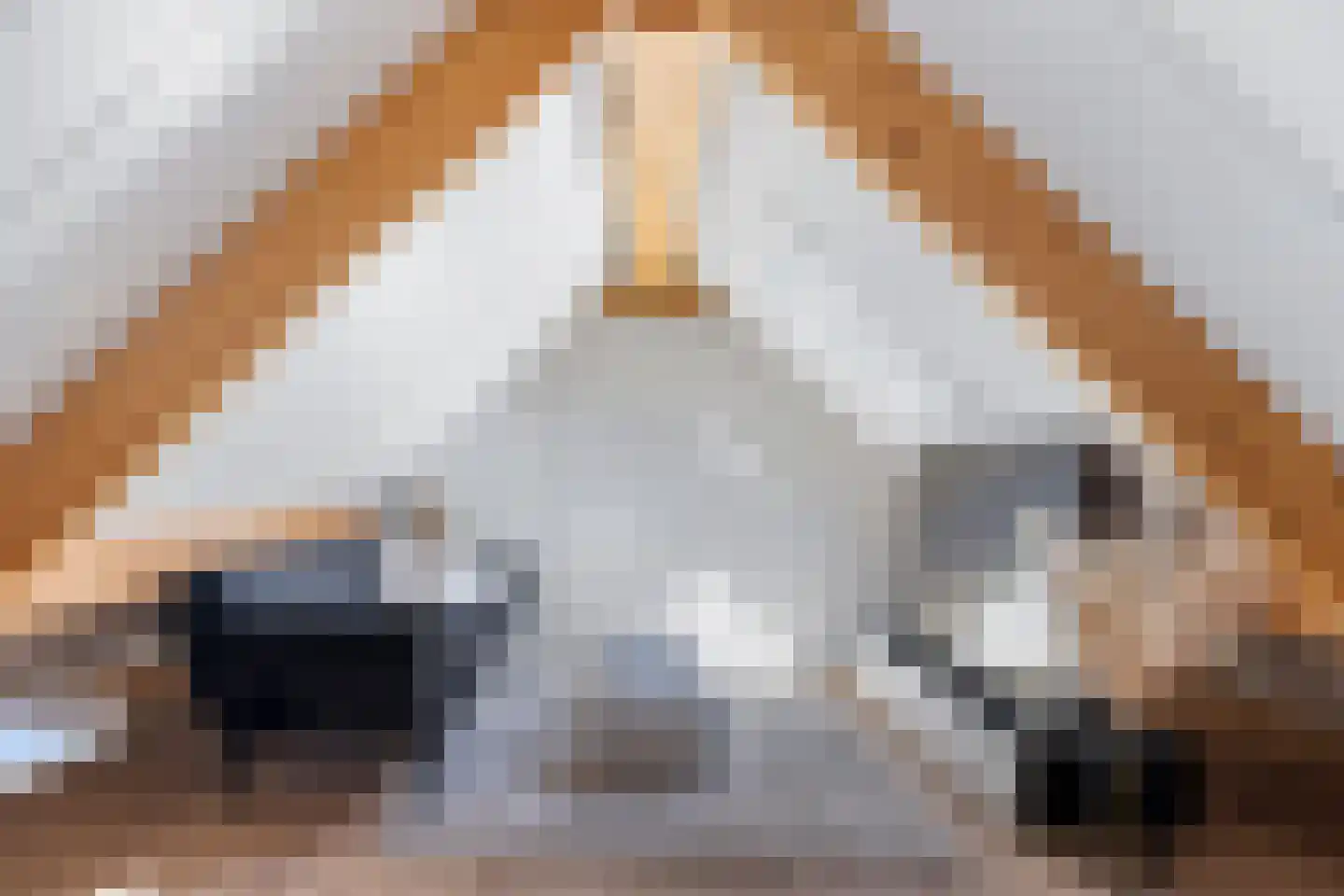Ekersein 1 Hijum thumbnail 69