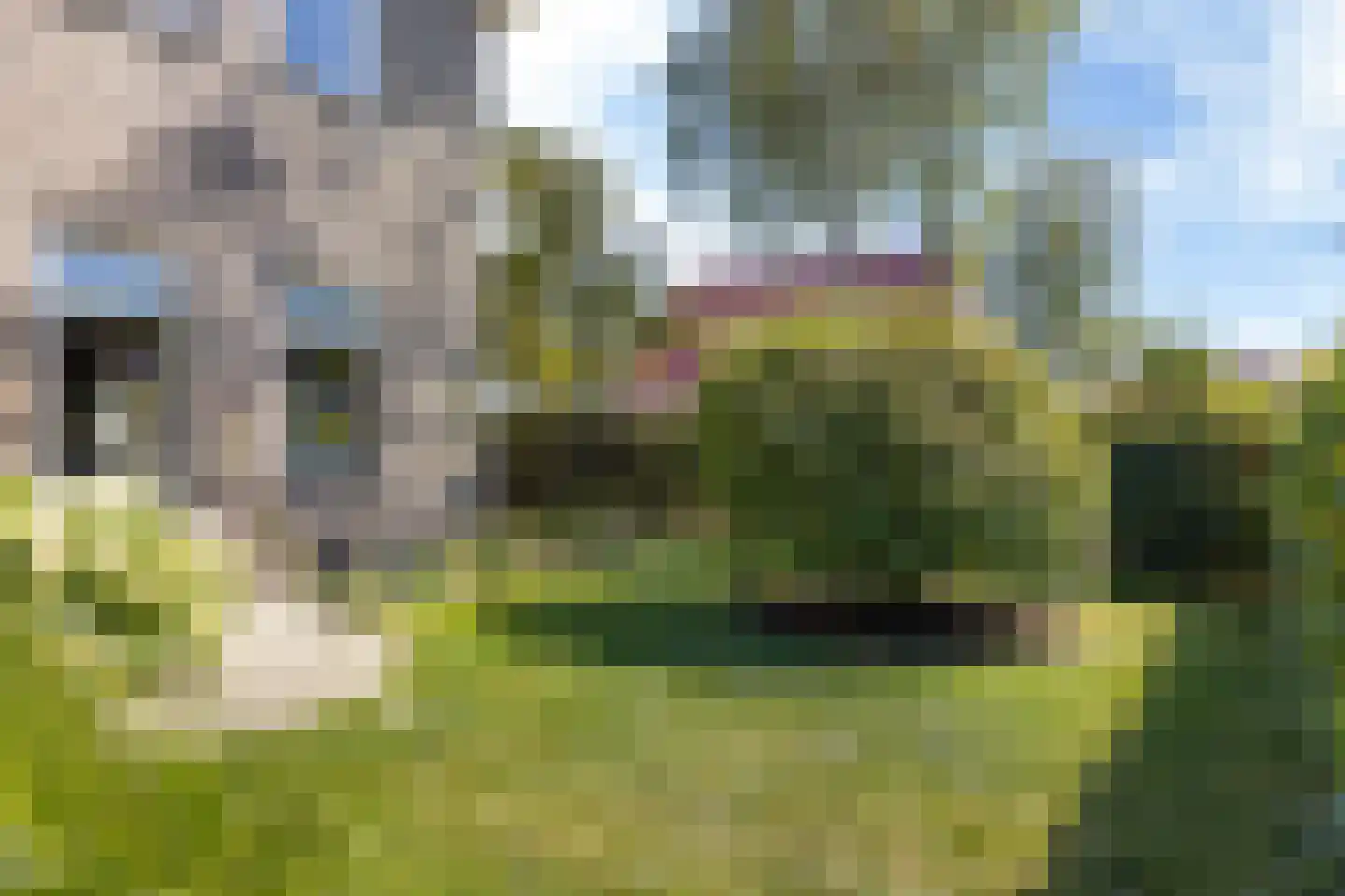 Ekersein 1 Hijum thumbnail 78