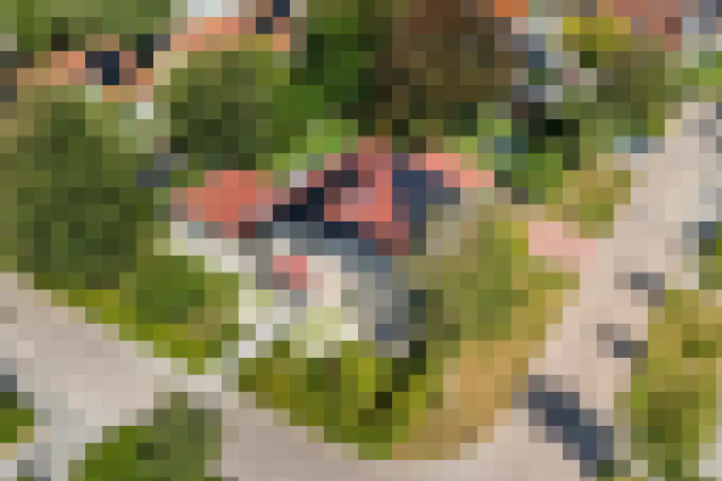 Ekersein 1 Hijum thumbnail 8