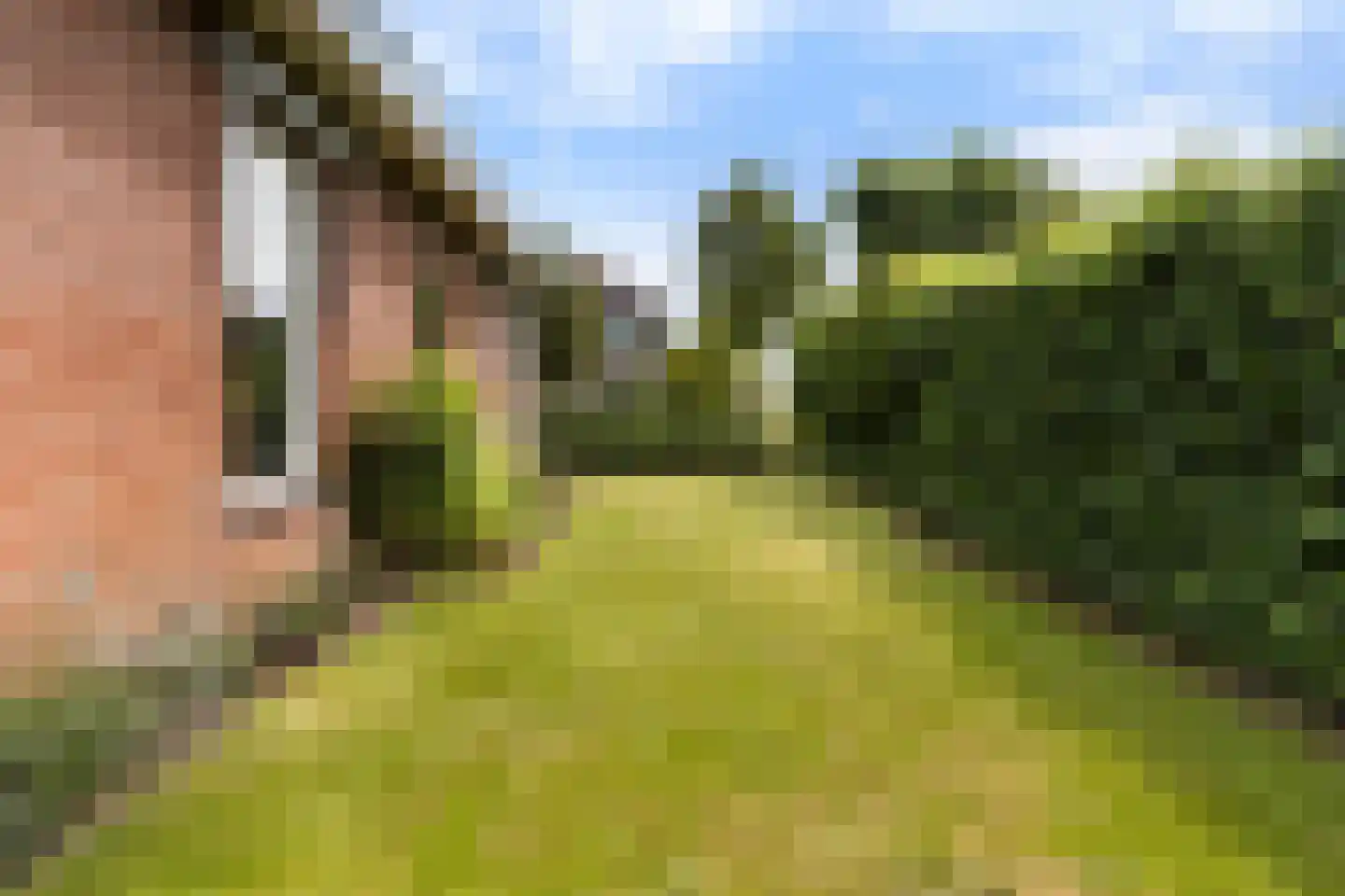 Ekersein 6 Hijum thumbnail 32