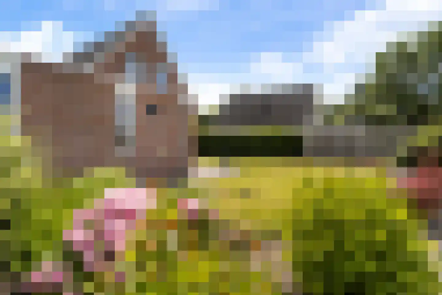 Ekersein 6 Hijum thumbnail 33